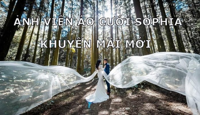 ảnh viện áo cưới sophia sale